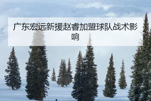 guang-dong-hong-yuan-xin-yuan-zhao-rui-jia-meng-qiu-dui-zhan-shu-ying-xiang-2-382.jpg